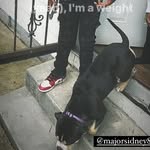 @major_sidney_so_cool - Instagram