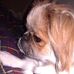 Sidney Malcolm - Facebook