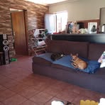 Sidney Meyer - Facebook