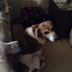 Sidney Murray - @sidneymurray2410 - Instagram