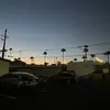 sidney newman - @sidney.newman8 - TikTok