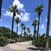 🪷 - @sidney.newton - TikTok