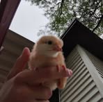 Sydney Newton - Facebook