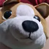 coop lazy polly - @sidneyodom5 - TikTok
