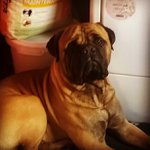 sidneyparish - @sidney_boy_parish - Instagram