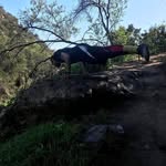 William Sidney Patterson - @willybearsfit - Instagram