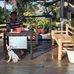 SIdney Ouano Perez - Facebook