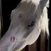 ❤️❤️ - @sidney.perkins7 - TikTok