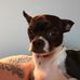 Sidney Postings - Facebook