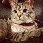 Arkady - @sidney_potter - Instagram