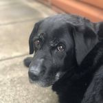 Sidney Potter - @fozzathegreat - Instagram