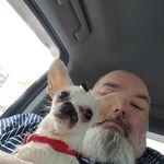sidney quick - @codea62 - Instagram