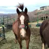 Sidney Rasmussen - @sidney.rasmussen - TikTok