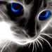 Sidney Robb - Facebook