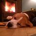 Sidney Robb - Facebook