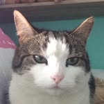 Sid - @sidneyrodgers1 - Instagram