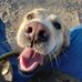 Sidney Silver - Facebook