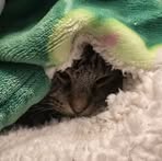 Sidney Spencer - Facebook
