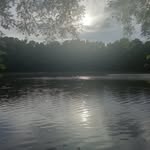 Sidney Spencer - @the.driver24 - Instagram
