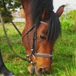 Sidney steiner - @sidi_boy_048 - Instagram