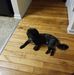 Sidney Stevenson - Facebook
