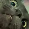 sidney_turner - @sidney_turner - TikTok