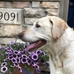Sidney White Pudwill - @pudwillsidney - Instagram