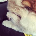 Sidney Lo chong yip - @molminsidney - Instagram