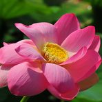 Sidney Yip - Facebook