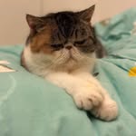 Sidney Yu - @sidney_yu_kw - Instagram