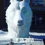 Sidney Yu - @yusidney - Instagram