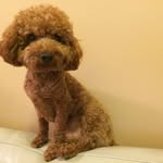 Sidney Yuen - @sidneyyuen1213 - Instagram