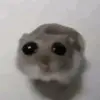 Sidney.yu - @sidney.yu - TikTok