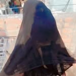 sidra abbasi 404 - @sidra_abbasi_505 - Instagram