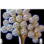 sidra ansari - @sidraansari5043 - Instagram