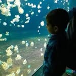 Sidra Mian - @sidra_mian - Instagram