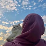 Sidra ستار🦋 - @sidra_sattar__ - Instagram
