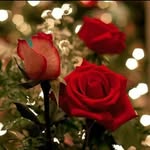 sidrah shaikh - @sidrah933 - Instagram