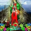 Sidronio Martinez826 - @sidroniomartinez1 - TikTok