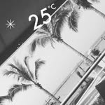 Sidy Sall - @sidy2736 - Instagram