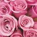 Sie Thomas - Facebook