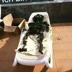 Siegfried Hoffmann - Facebook