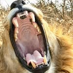 Siegfried Lang - @angelfuzzi06 - Instagram