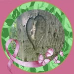 Christelle Siegfried Meyer - @chrismeyer29 - Instagram