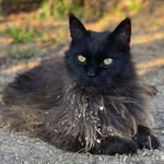 Siegfried Siggi Meyer - @siegfriedmeyer - Instagram