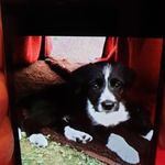 Siegfried Otto - @siegfried.otto.75 - Instagram