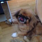 Siegfried Otto - Facebook