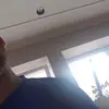 lol - @siegfriedwerner - TikTok