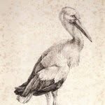 sien li - @bne1979 - Instagram