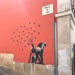 Siena - @sienabartoneli - Instagram